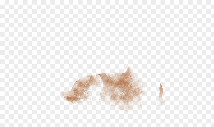 Dog Canidae Fur Snout Mammal PNG