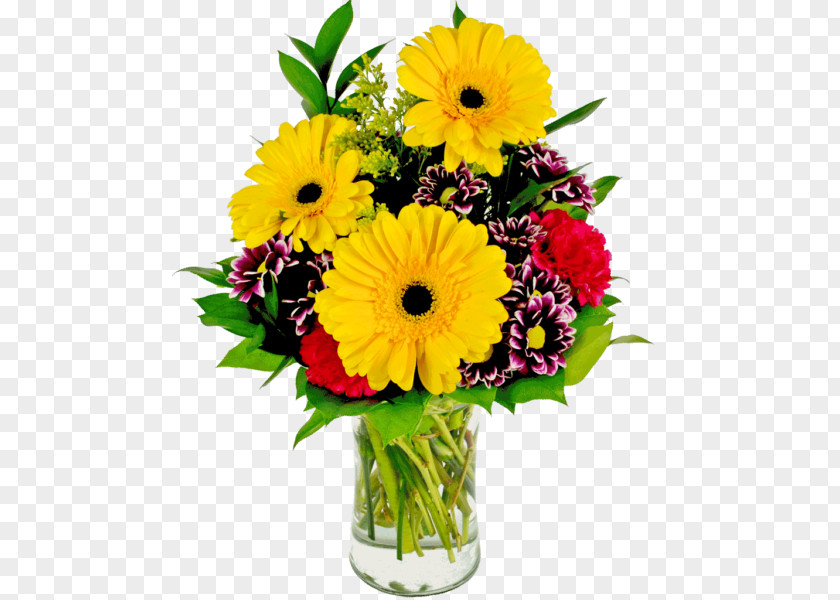 Flower Transvaal Daisy Bouquet Cut Flowers Floral Design PNG