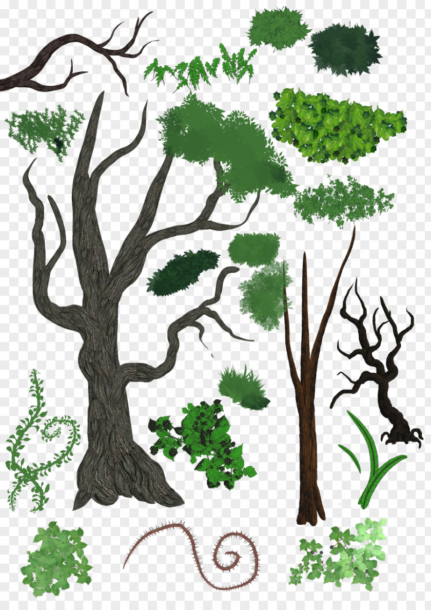 Tree DeviantArt Plant PNG