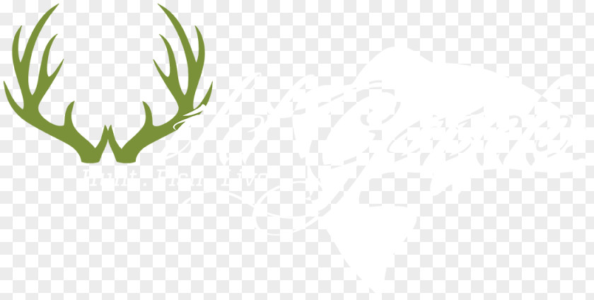 Deer Moon Phases Activity Antler Grasses Logo Duvet PNG