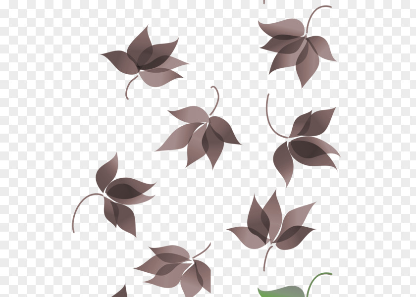 Early Autumn Petal Pattern Symmetry Product Design Twig PNG
