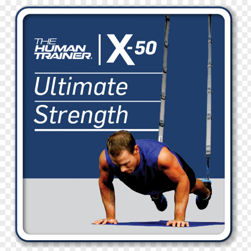 Physical Fitness Exercise Personal Trainer Strength Training Suspension PNG