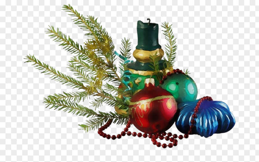 Pine Family Conifer Christmas Ornament PNG