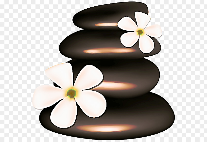 Symbol Flower Frangipani Clip Art Petal Plant PNG