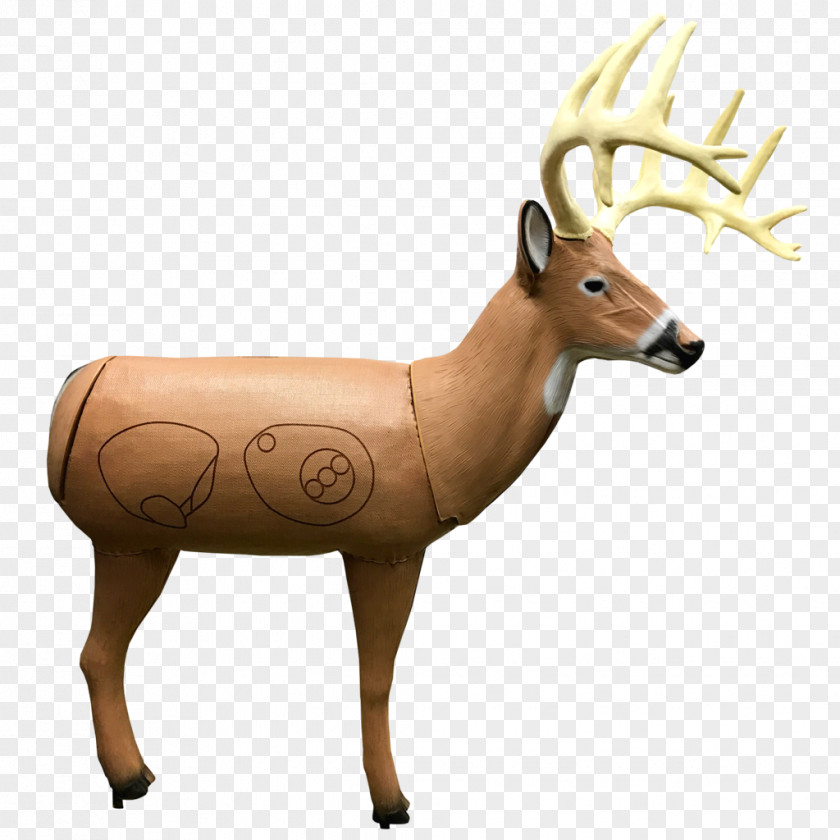 Target Point Archery Reindeer Shooting Corporation PNG