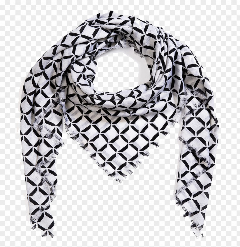 Winter Scarves Scarf Wool PNG