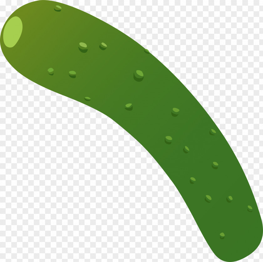 Zucchini Cliparts Lasagne Cucumber Vegetable Clip Art PNG