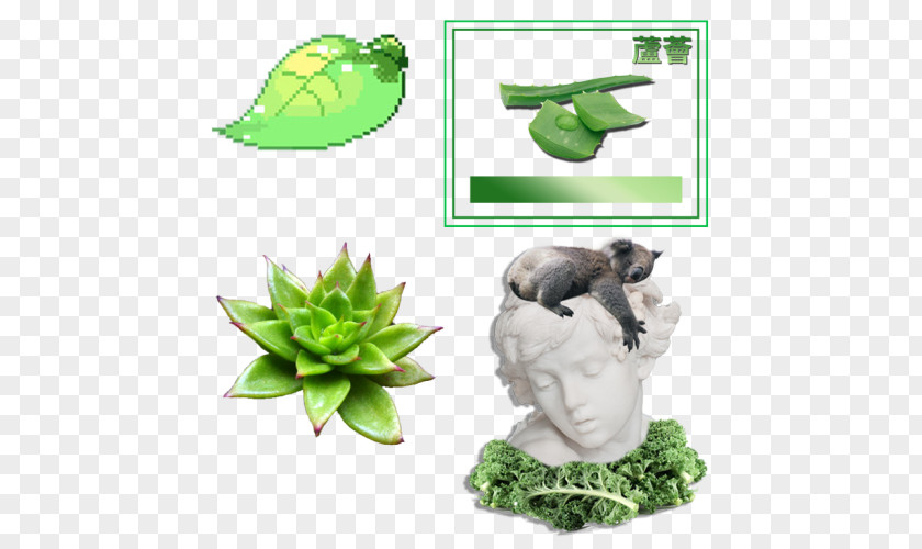 Aesthetic Statue Drawing Image Editing Thallophyte PNG