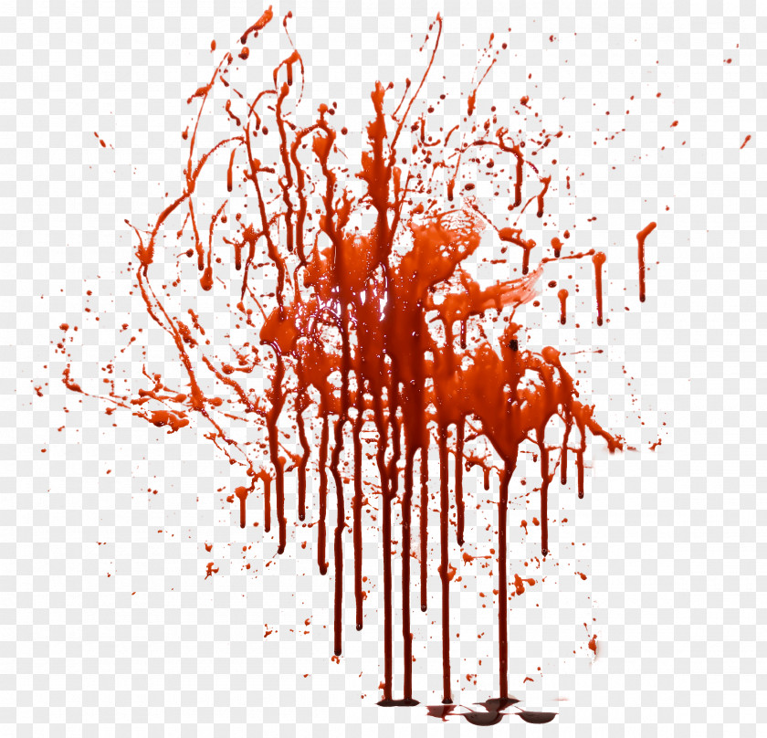 Blood Image File Formats PNG