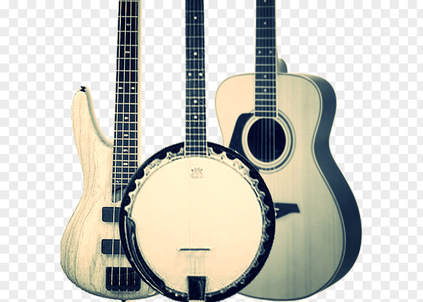 Folk Rock Acoustic Guitar Bass Tiple Cavaquinho Acoustic-electric PNG