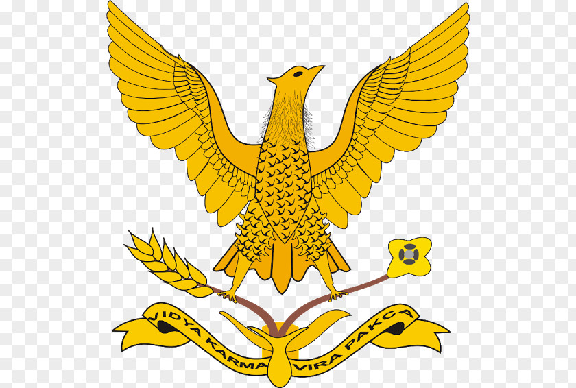 Indonesian Air Force Academy National Armed Forces Yogyakarta PNG