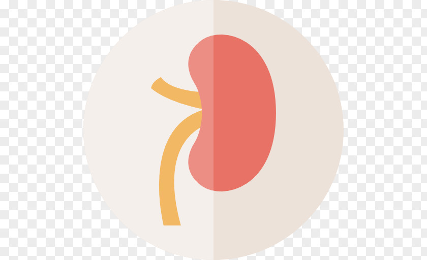 Internal Organs Logo Brand PNG