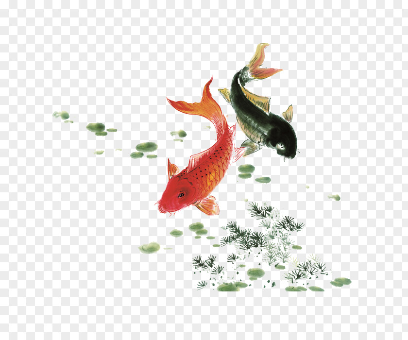 Painting Koi Ink Wash Watercolor Fish PNG