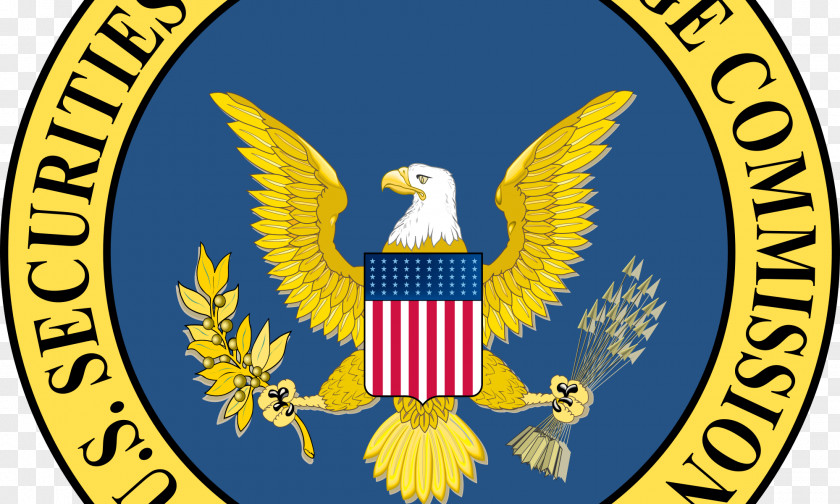 Unauthorized U.S. Securities And Exchange Commission Security Stock Federal Government Of The United States PNG