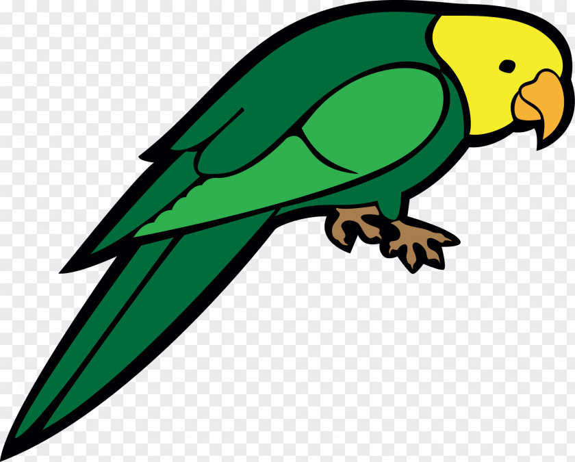 Cartoon Green Bird Parrot Clip Art PNG