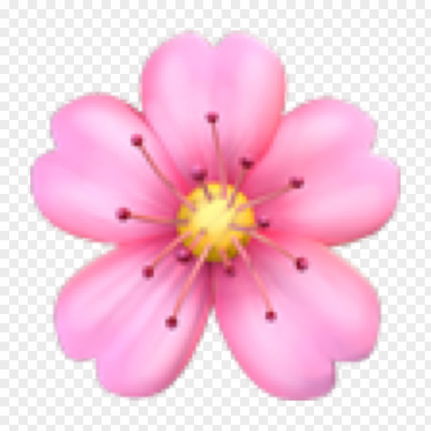 Emoji Domain Flower Sticker Emoticon PNG