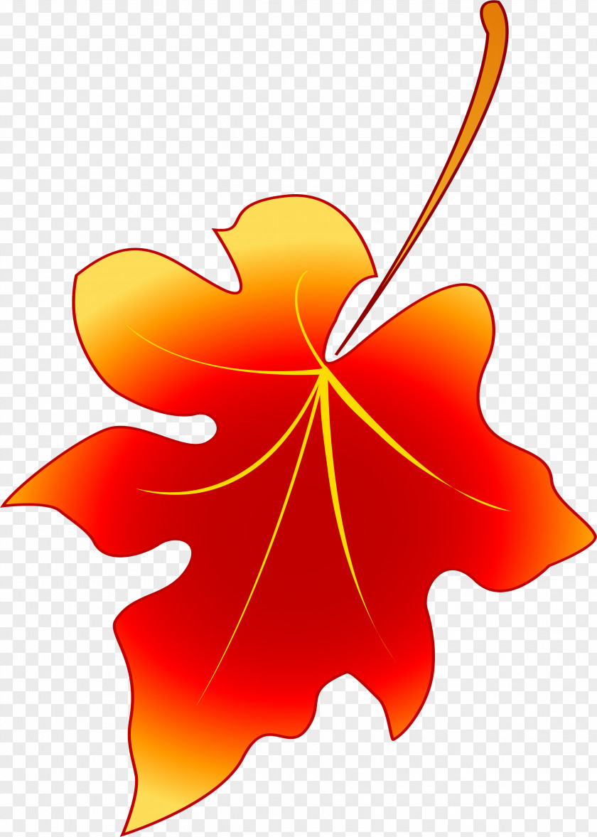 Leaves Stencil Leaf Petal Flower PNG