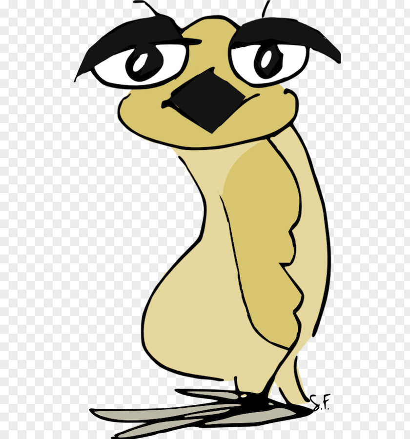 Owl Pattern Beak Clip Art PNG