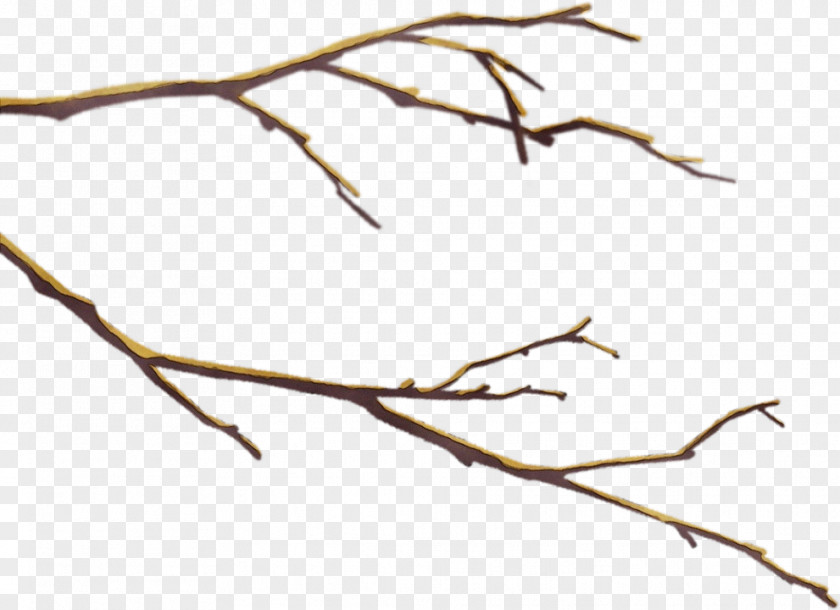 Plant Tree Watercolor PNG