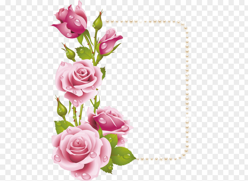 Rose Floral Design Painting Flower Clip Art PNG