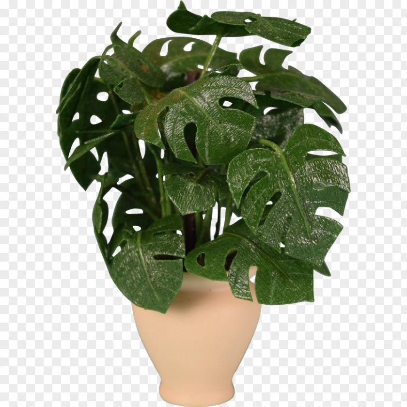 Split Leaf Philodendron Swiss Cheese Plant Dollhouse Houseplant Flowerpot 1:12 Scale PNG