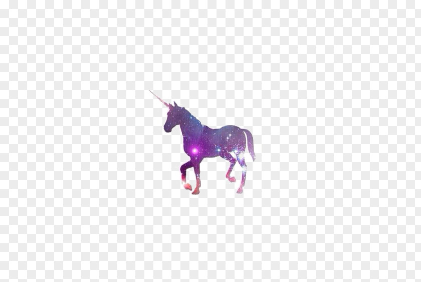 Unicorn T-shirt Keychain Gift PNG