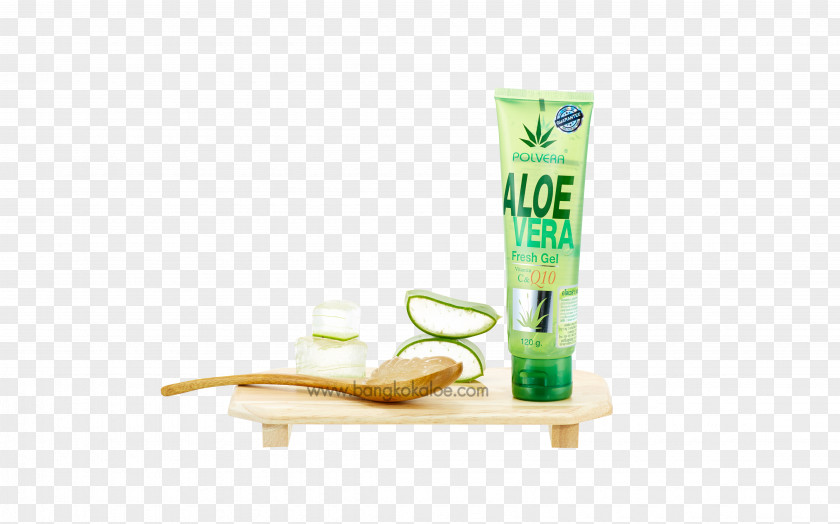 ​​aloe Aloe Vera ร้านริชชี่ ริชชี่บิวตี้ สุราษฎร์ธานี Richybeauty Gel Coenzyme Q10 Talad Mai Road PNG