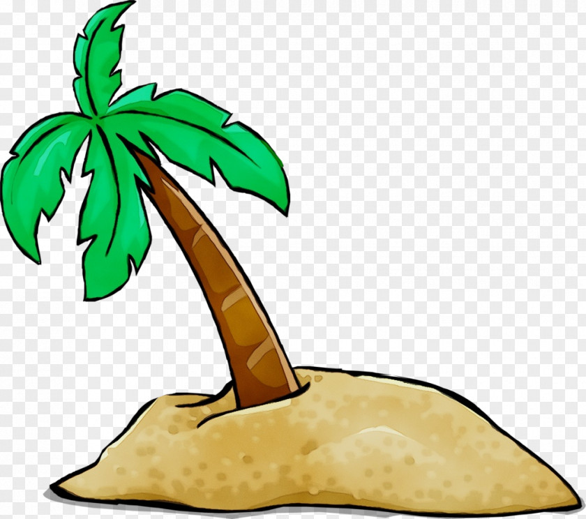 Arecales Plant Stem Palm Tree PNG