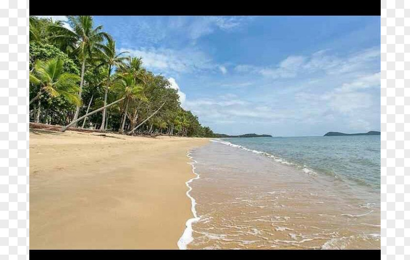 Beach Caribbean Shore Sea Coast PNG