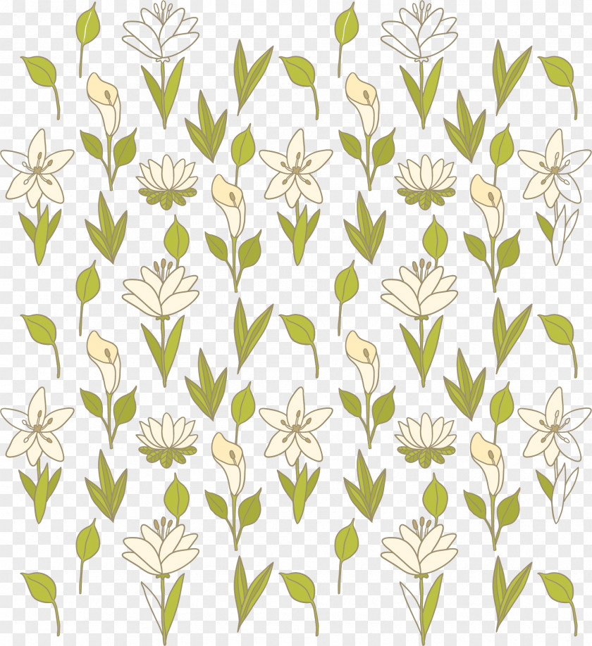 Calla Lily Flowers Floral Background Vector Arum-lily Design Flower Euclidean PNG