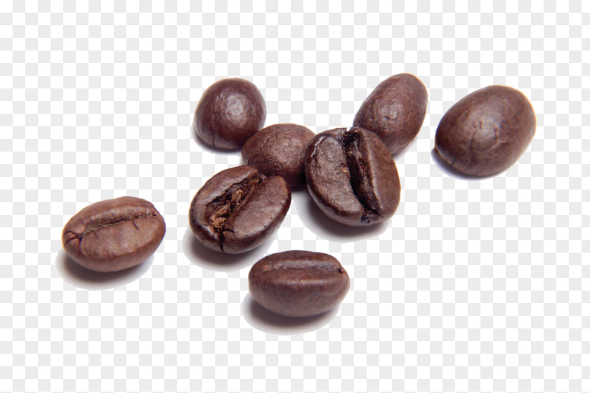 Coffee Beans Transparent Bean Cafe Roasting PNG