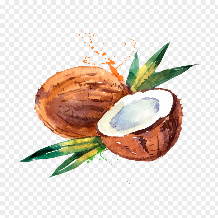 Hand-painted Watercolor Coconut Water Milk Painting PNG