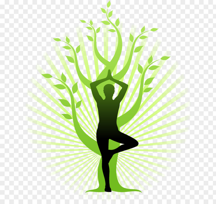 Herbal Medicine Gov A Gentle Introduction To Yoga Autobiography Of Yogi Meditation PNG