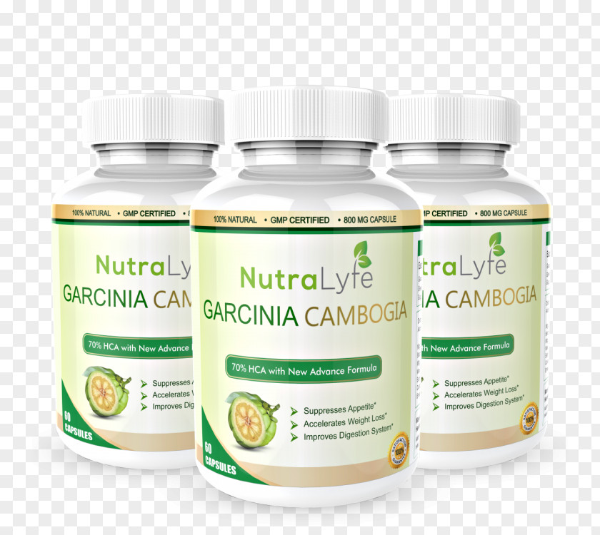 Herbs Weight Loss Garcinia Cambogia Dietary Supplement Hydroxycitric Acid Dieting PNG