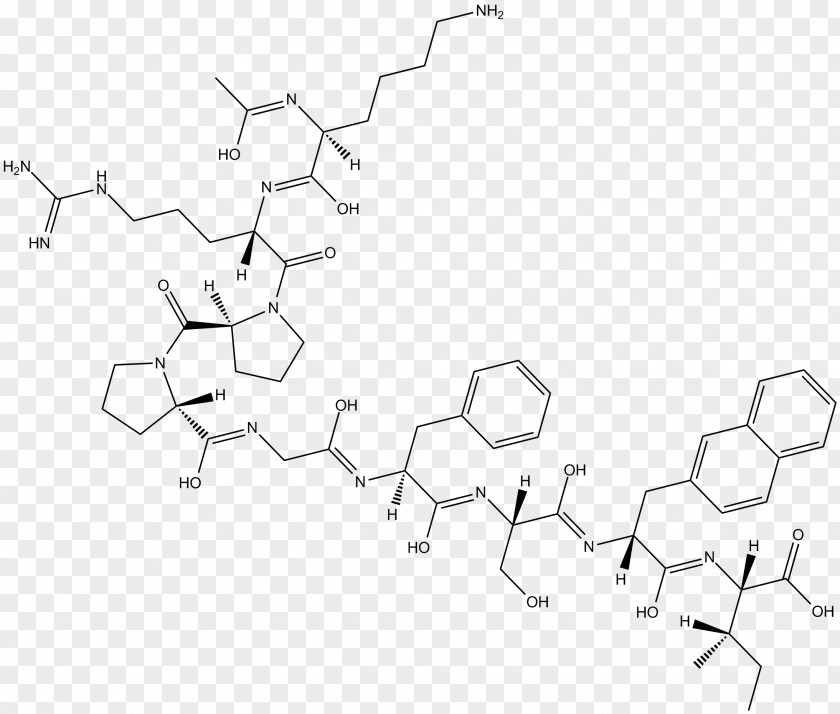 Pathway Monochrome Drawing /m/02csf Circle PNG