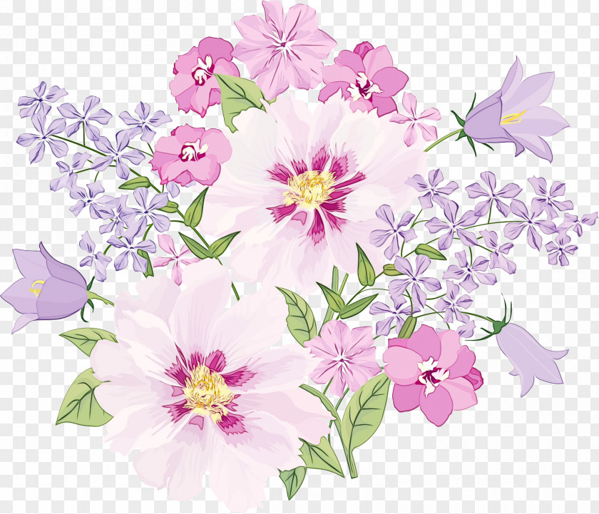 Perennial Plant Blossom Flower Bouquet PNG