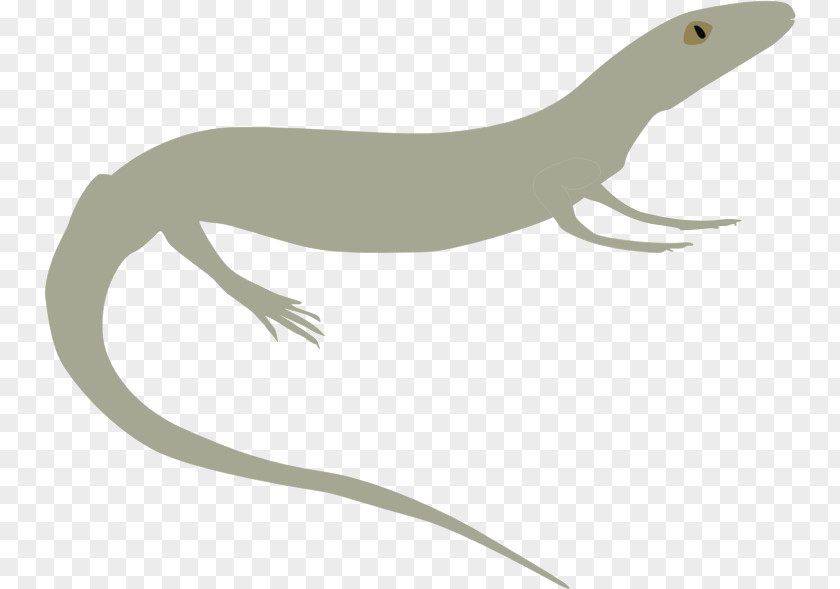 Pro Clipart Protorothyris Protorothyrididae Captorhinidae Eureptilia Cephalerpeton PNG