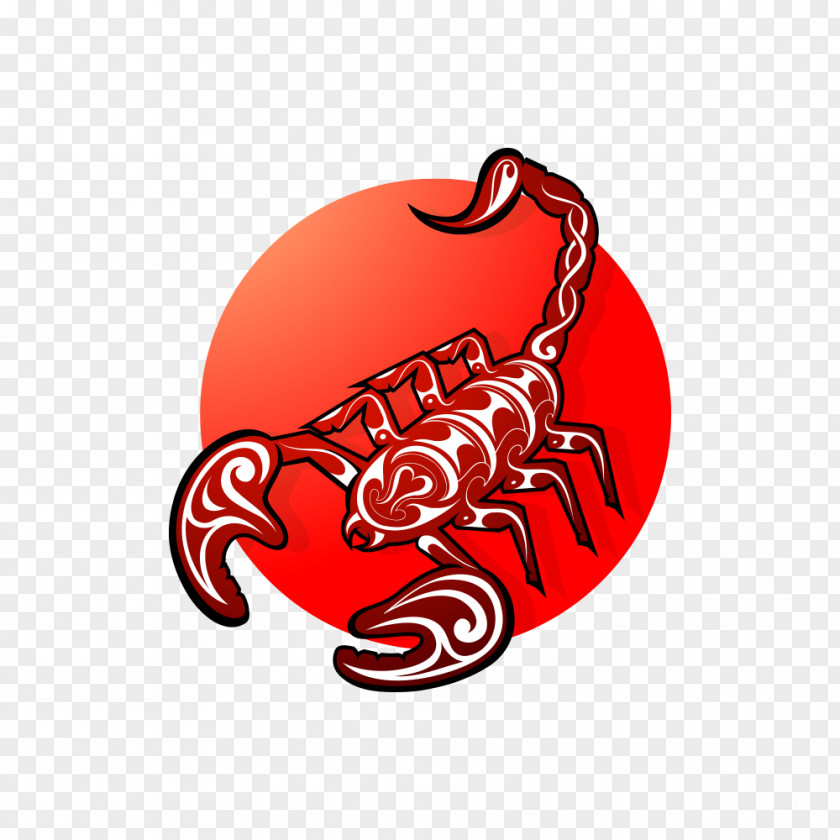Scorpions Scorpion Tattoo Illustration PNG