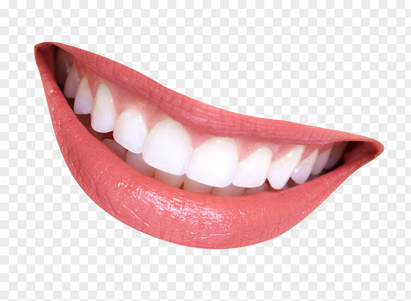 Smile Mouth Tooth Lip PNG
