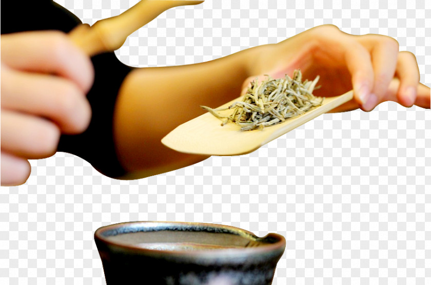 Tea Teaware Japanese Ceremony PNG