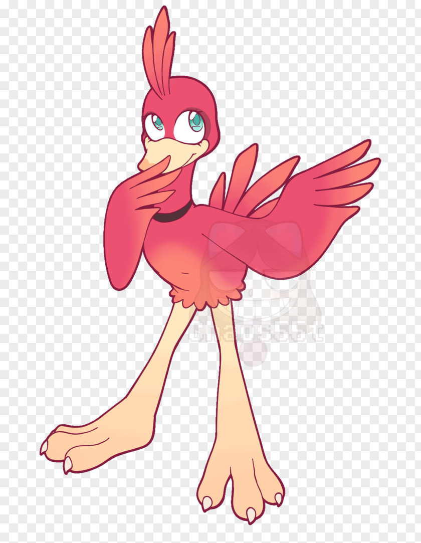 Chicken Rooster Illustration Bird Clip Art PNG