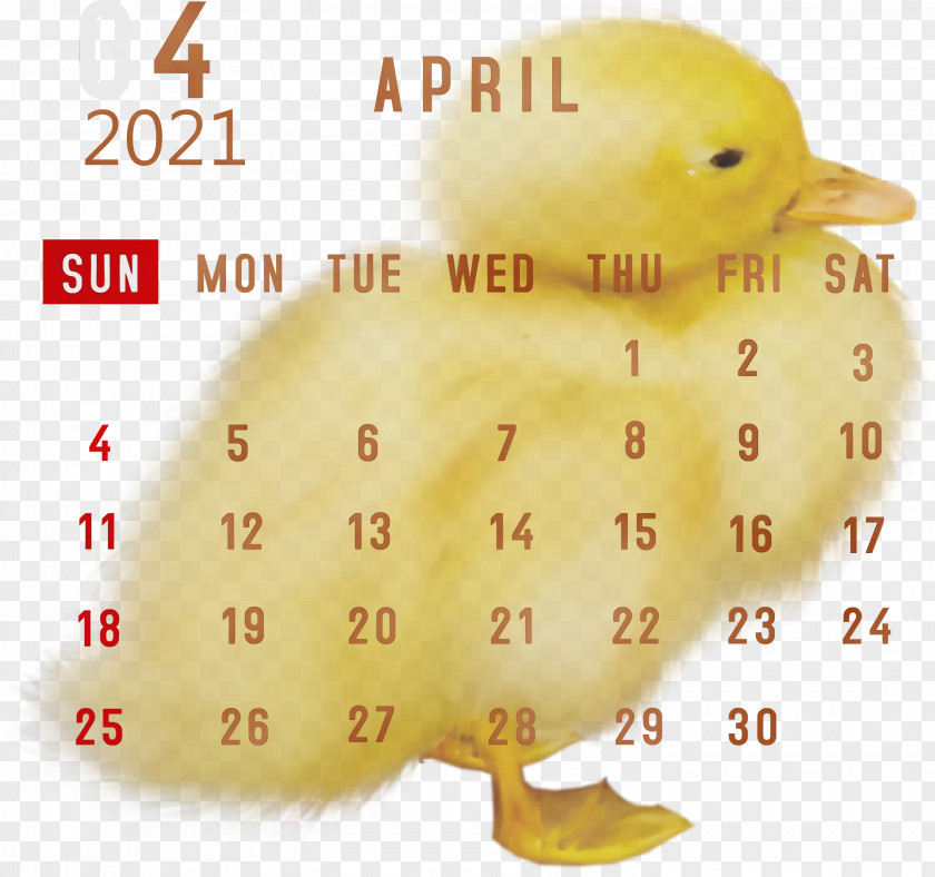 Duck Htc Hero Water Bird Beak Birds PNG