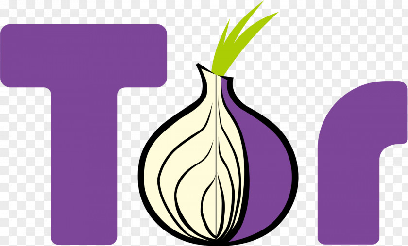 Pi Tor Onion Routing .onion Router Anonymity PNG