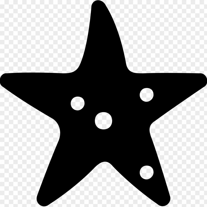 Starfish Icon Design Clip Art PNG