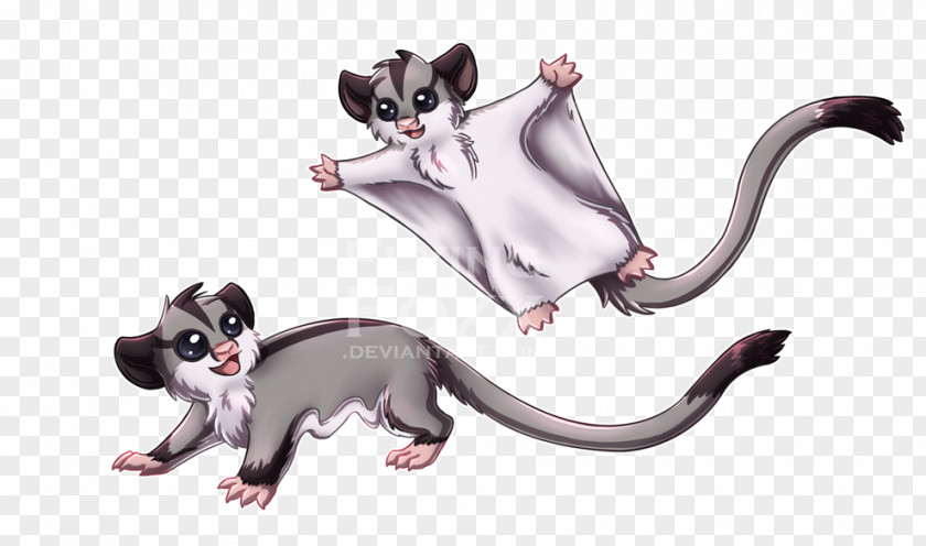 Sugar Glider Cliparts Kitten Drawing Clip Art PNG