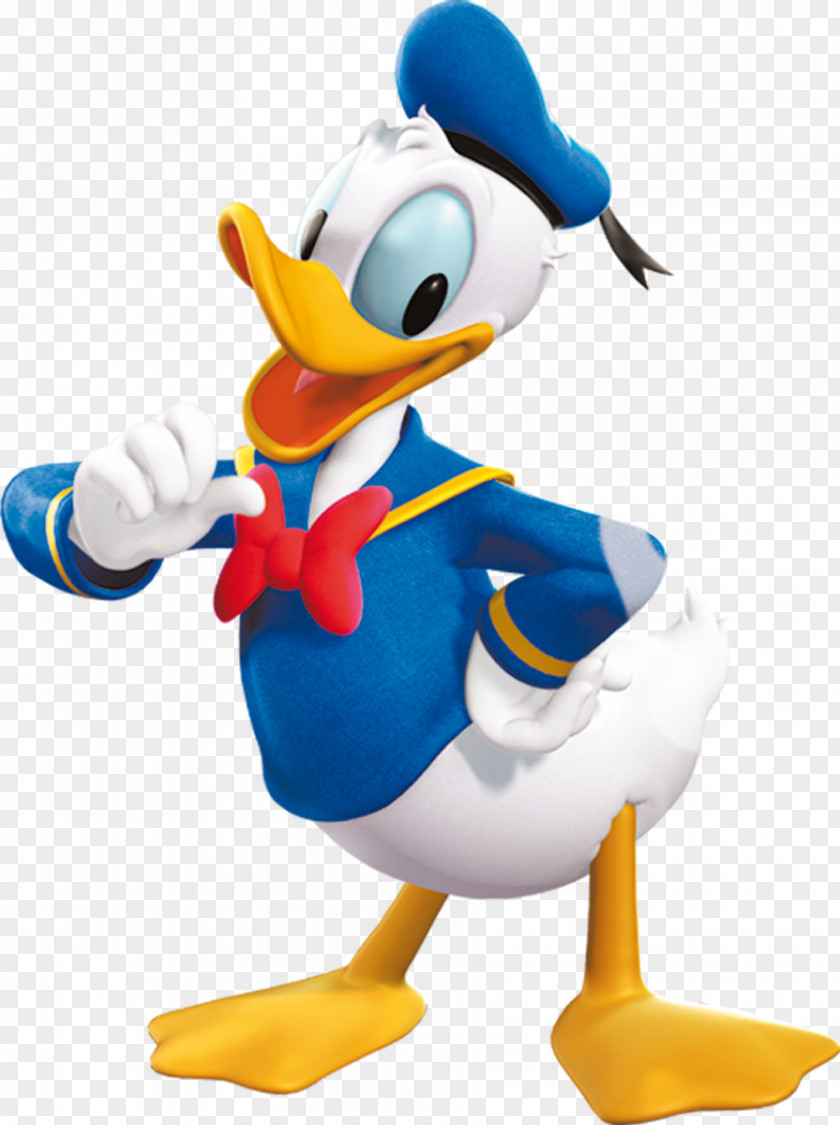 Donald Duck Duck: Goin' Quackers Daisy Minnie Mouse Mickey PNG