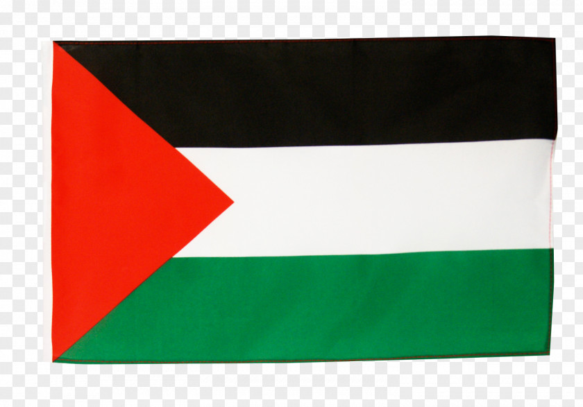 Flag State Of Palestine Fahne Rainbow PNG