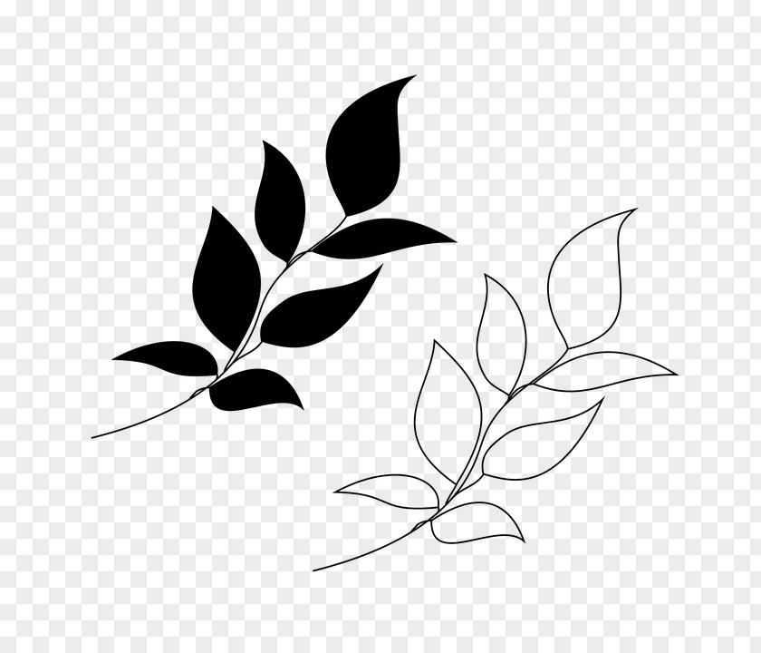 Flower Tree Leaf Branch Plant Black-and-white Twig PNG