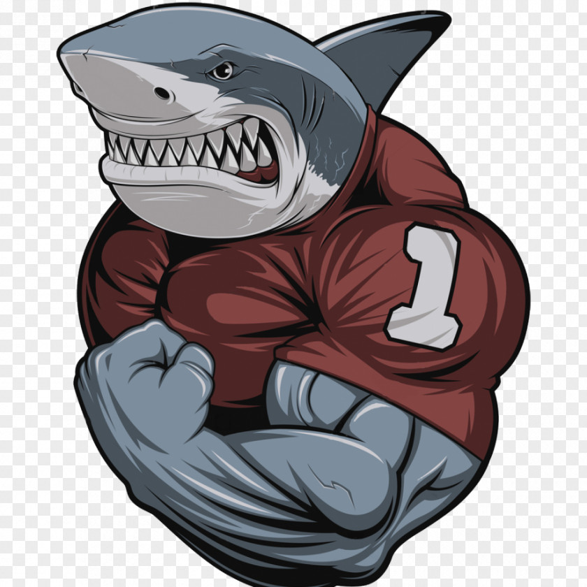 Shark Vector Graphics Great White Bodybuilding Illustration PNG