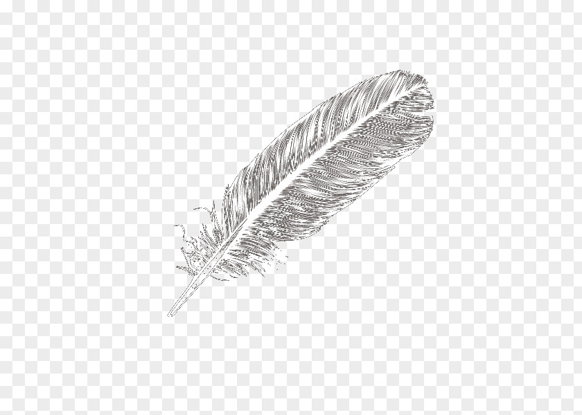 White Feathers Domestic Goose Feather Icon PNG